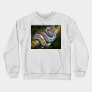 Rainbow Boa Rainboa Epicrates Cenchria Crewneck Sweatshirt